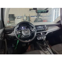 SKODA-KAMIQ-1.0 TSI 110 PS DSG ELITE