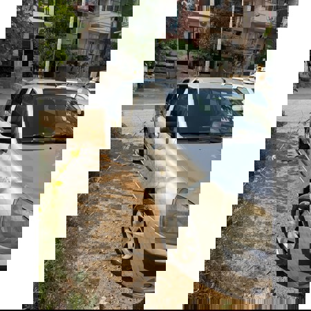 DEĞİŞENŞİZ CLİO  - 3